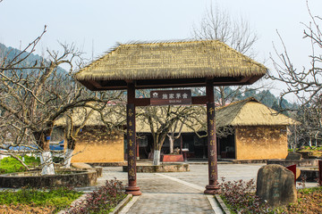 廣元蒼溪梨博園