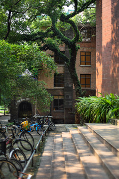 中山大學廣州校園
