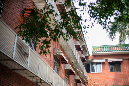 中山大學(xué)廣州校園