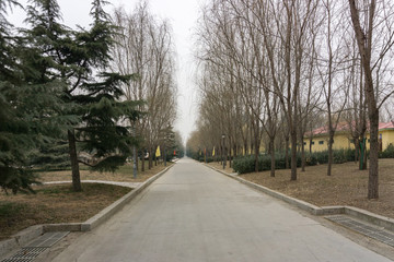 泰山寶泰隆旅游區(qū)內(nèi)