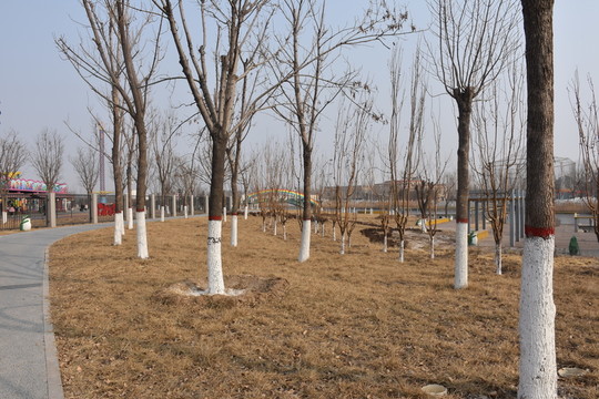 公園