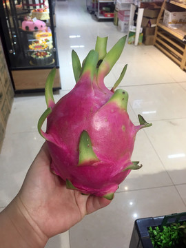 火龍果