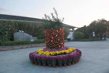 廣東新會(huì)年桔菊花壇