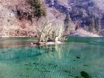 海子