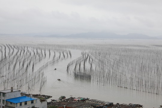 霞浦霞浦S彎