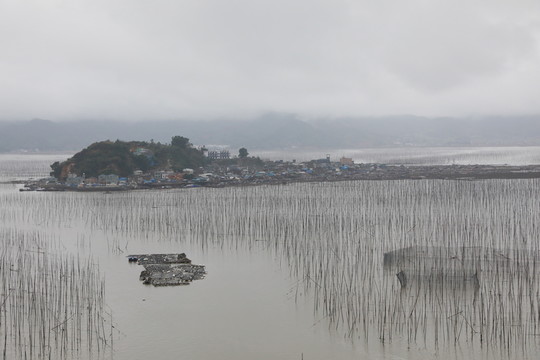 霞浦S彎