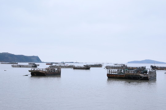 霞浦漁船風(fēng)光
