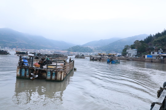 漁船風光
