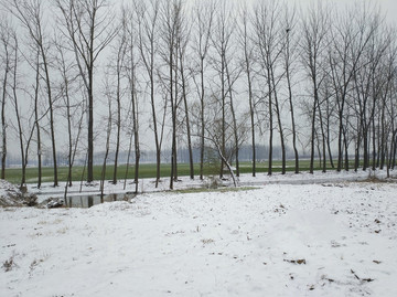 鄉(xiāng)村小雪
