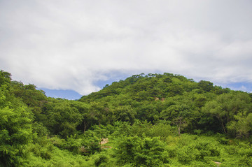 千山桃花溪谷山峰山林與漫天白云
