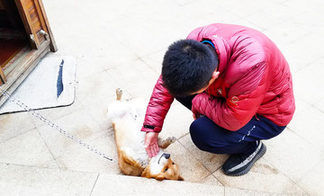 逗狗