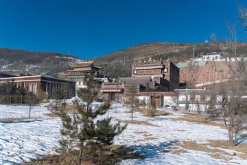 塔爾寺