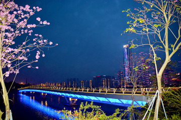 深圳灣夜景風(fēng)光