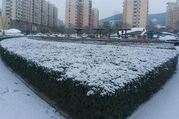 濟南下雪