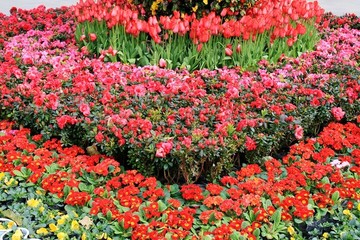 花臺(tái)