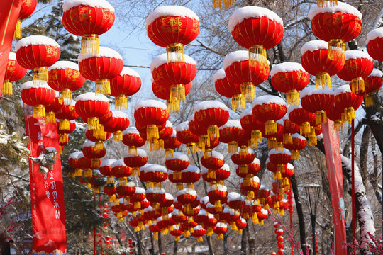 大紅燈籠高高掛