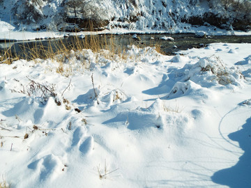 白雪覆蓋的河岸