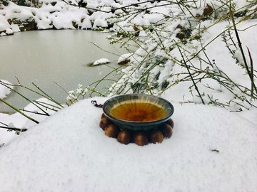 雪中茶道