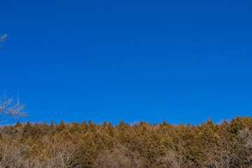 藍(lán)色的天空
