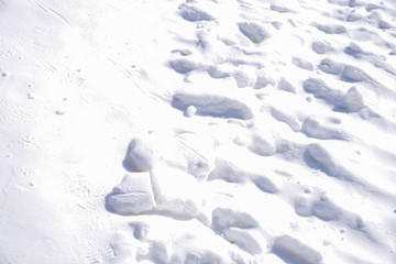雪地