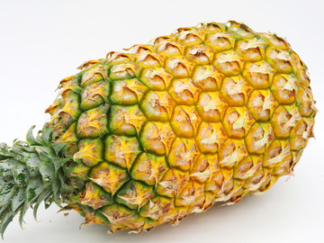 菠蘿