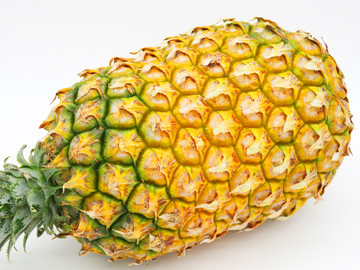 菠蘿
