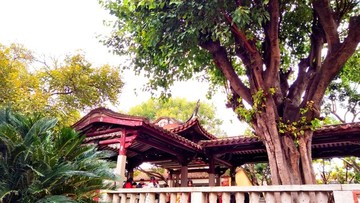 泉州開(kāi)元寺