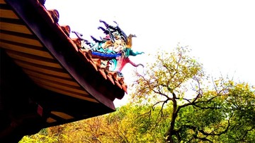 泉州開元寺
