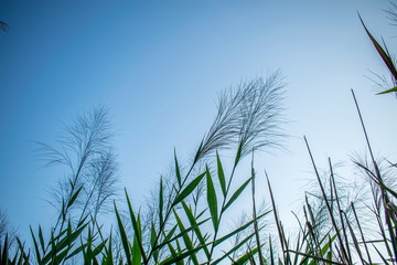 天空背景
