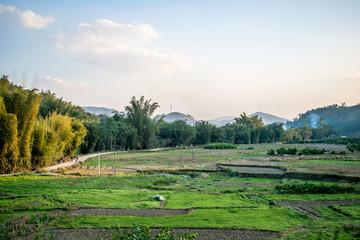 山村田野