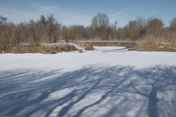 雪景