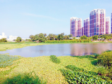 三亞東岸濕地公園