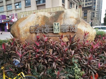 花卉