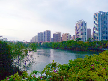 河畔暮色風(fēng)景