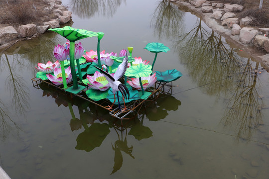荷花燈