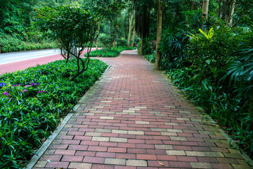 公園小路