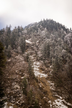 理縣畢棚溝景區(qū)