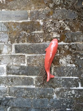 錦魚雕像
