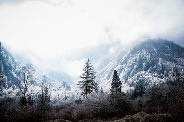 理縣畢棚溝風景區(qū)