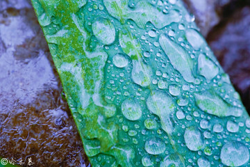 雨后