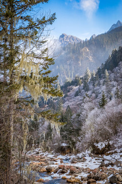 理縣畢棚溝景區(qū)