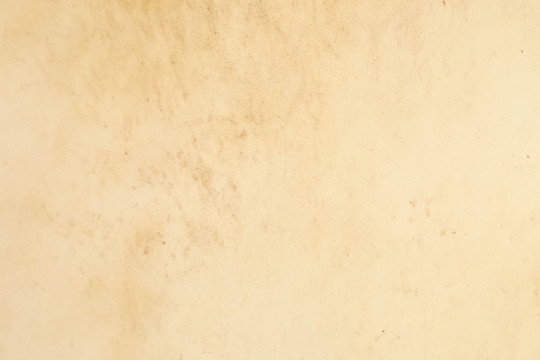 紙紋
