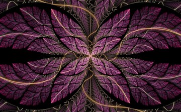 花紋圖案