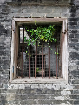 舊窗戶