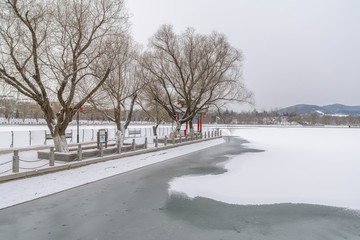 冰封湖面的風(fēng)景