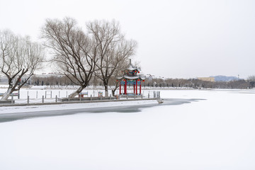 冰封湖面的風(fēng)景