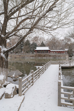 公園雪景