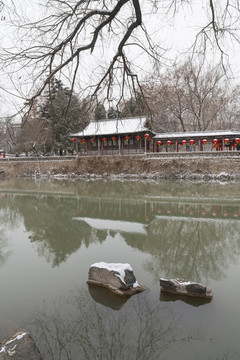 公園雪景