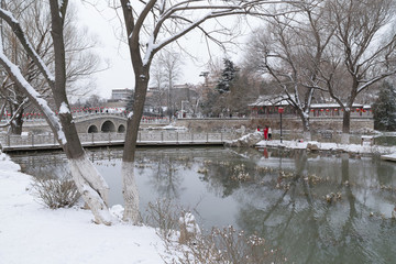公園雪景