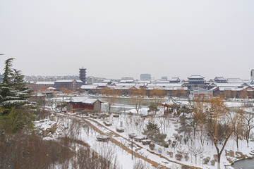 青州雪景